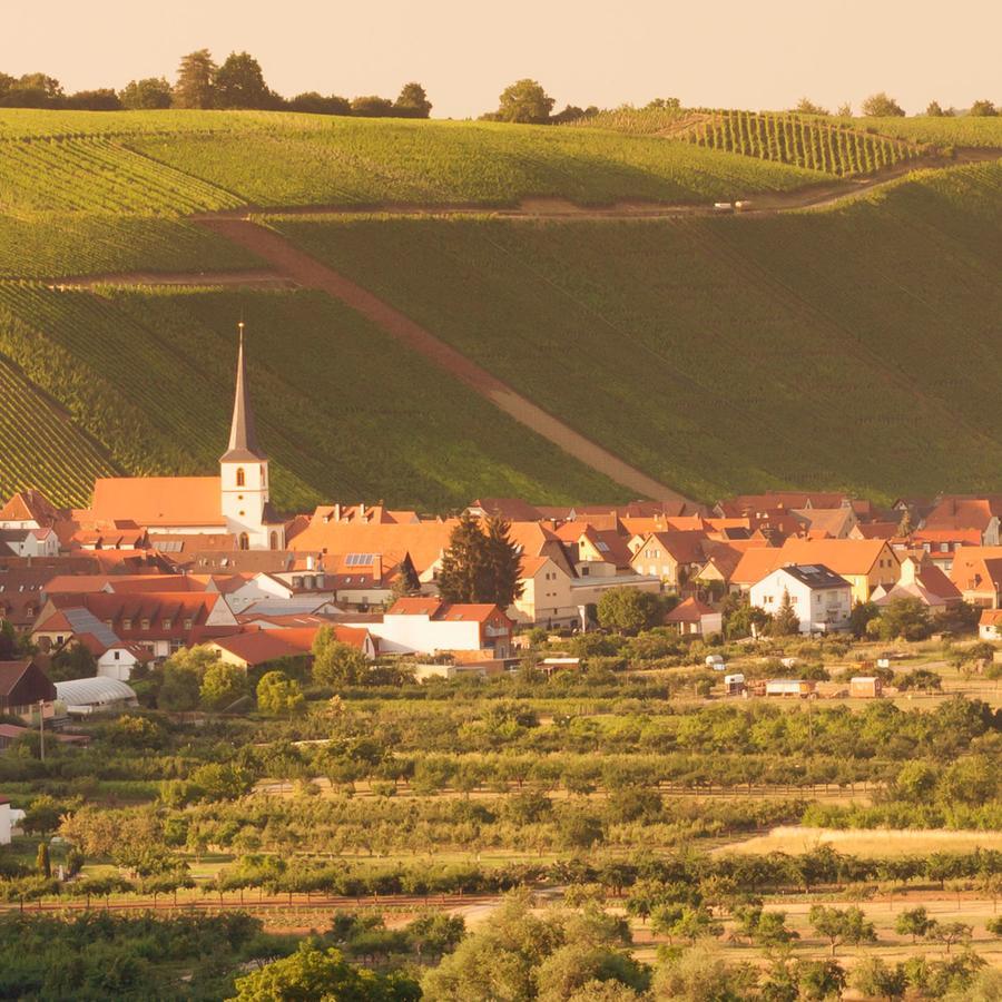 Hotel Domizil Nunn à Escherndorf Extérieur photo